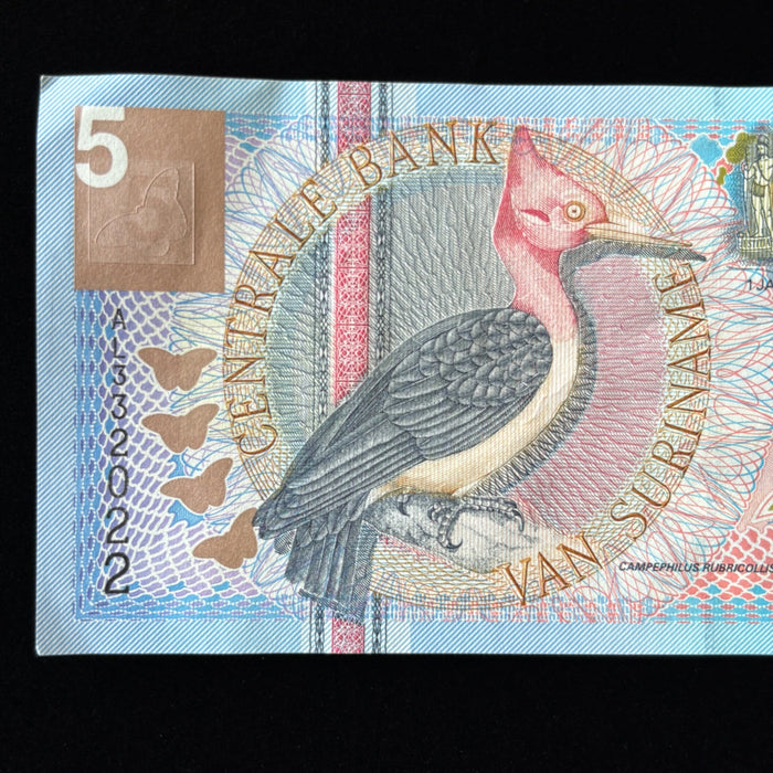Vintage Banknote Suriname Bird Butterfly Bat Gold Foil UV Verified 5 Gulden AU
