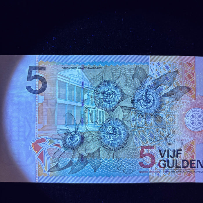 Vintage Banknote Suriname Bird Butterfly Bat Gold Foil UV Verified 5 Gulden AU
