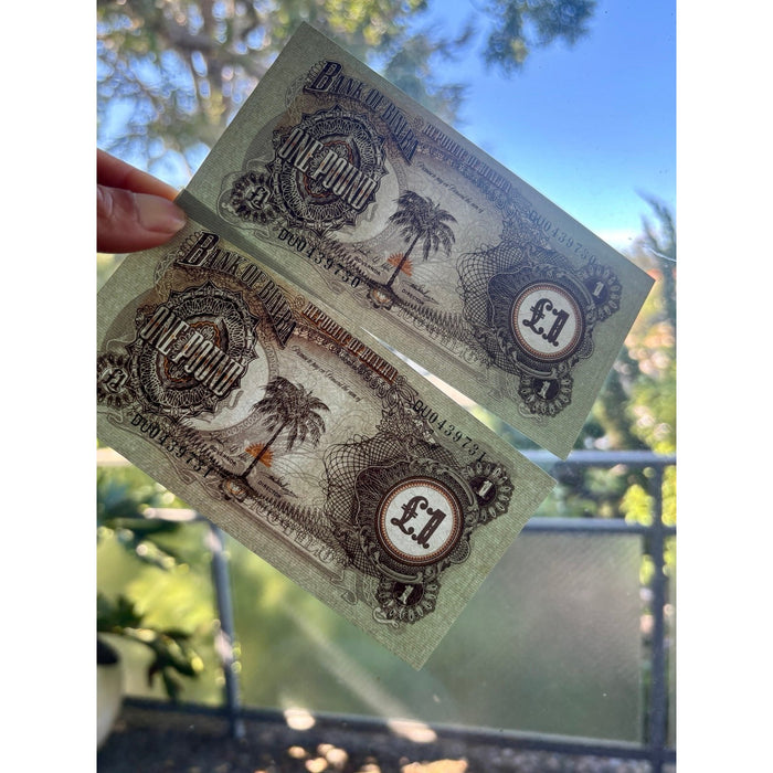 Vintage Banknote Set 1968 Consecutive Pair Biafra UNC Crisp Dead Rebel Currency