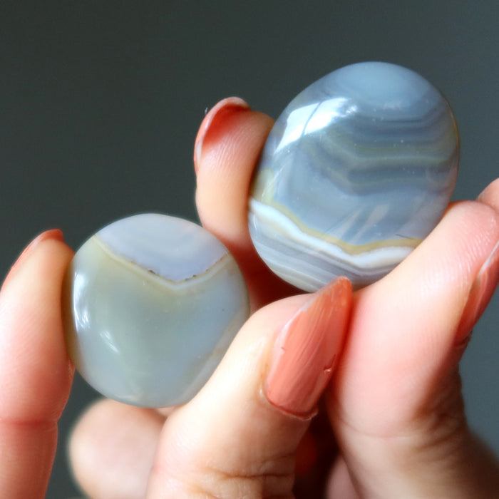 Agate Grid Crystal Bundle Brilliant Cabochon Set of 15