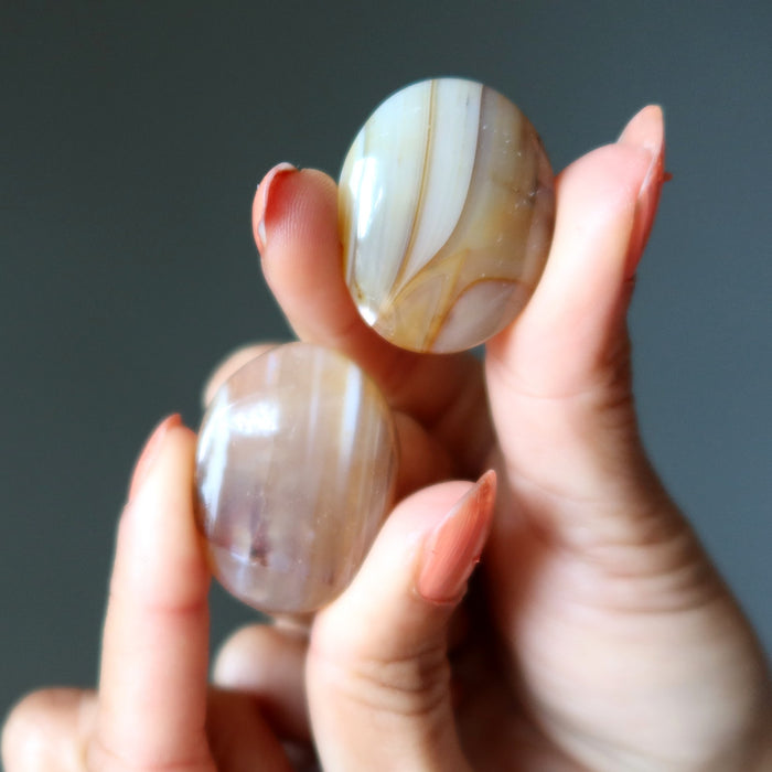 Agate Grid Crystal Bundle Brilliant Cabochon Set of 15