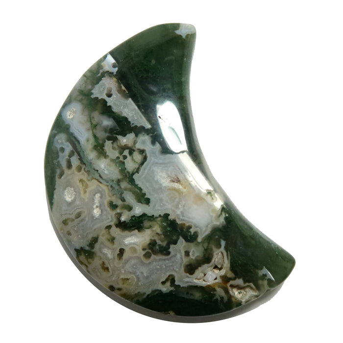 A polished Moss Agate crystal with green moss-like inclusions and white bands, shaped like a crescent moon.