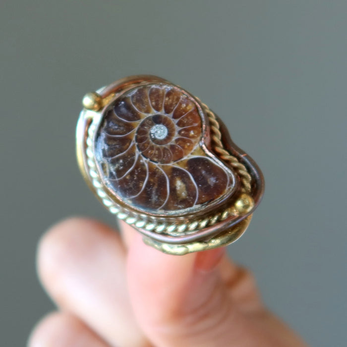 Ammonite Ring Fossilized Gem Ancient Power Adjustable