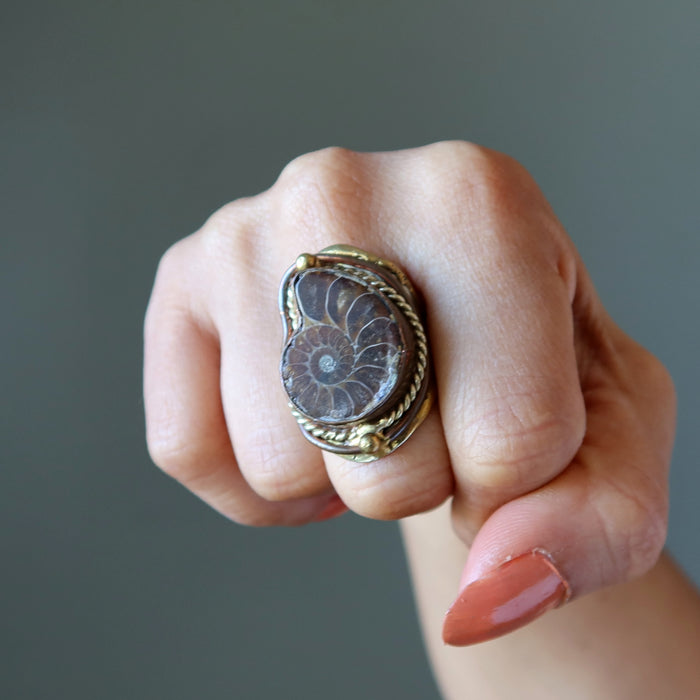 Ammonite Ring Fossilized Gem Ancient Power Adjustable