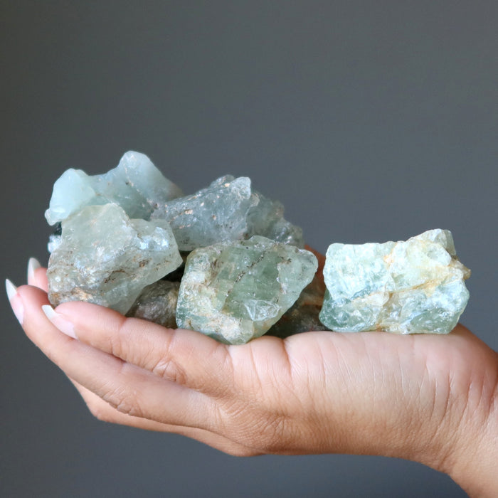 Hand holding a collection of aquamarine raw crystals against a gray background