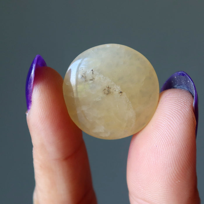 Orange Aventurine Grid Crystal Bundle Coin Set of 18