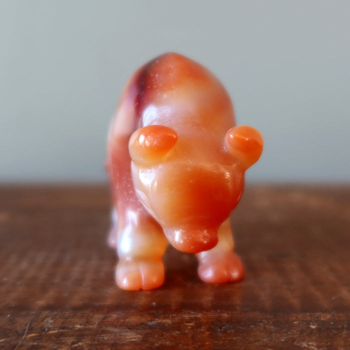 Carnelian Buffalo Courage Vitality Orange Guardian Animal