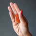 carnelian tumbled stone in hand