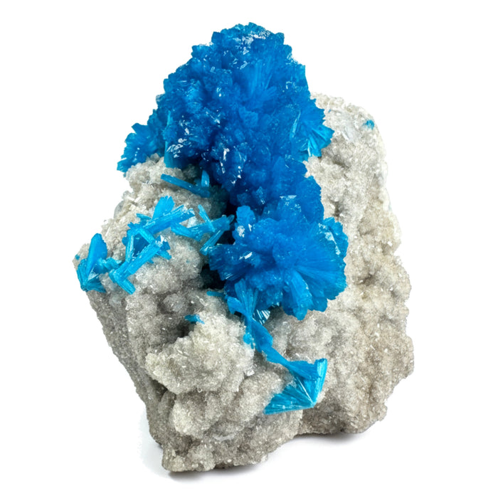 Cavansite Cluster Blue Flowers on Stilbite Collector Gem 2 Inch