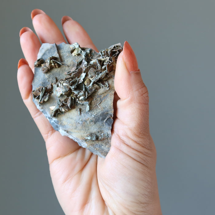 Chalcopyrite Cluster High-Powered Stone Golden Luster