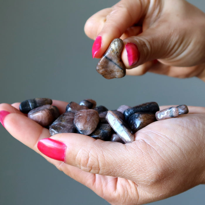 Chiastolite Tumbled Stone Lot of 39 Holy Cross Crystal Bundle