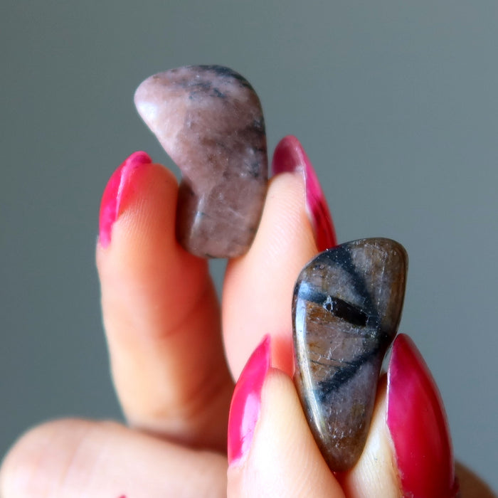 Chiastolite Tumbled Stone Lot of 39 Holy Cross Crystal Bundle