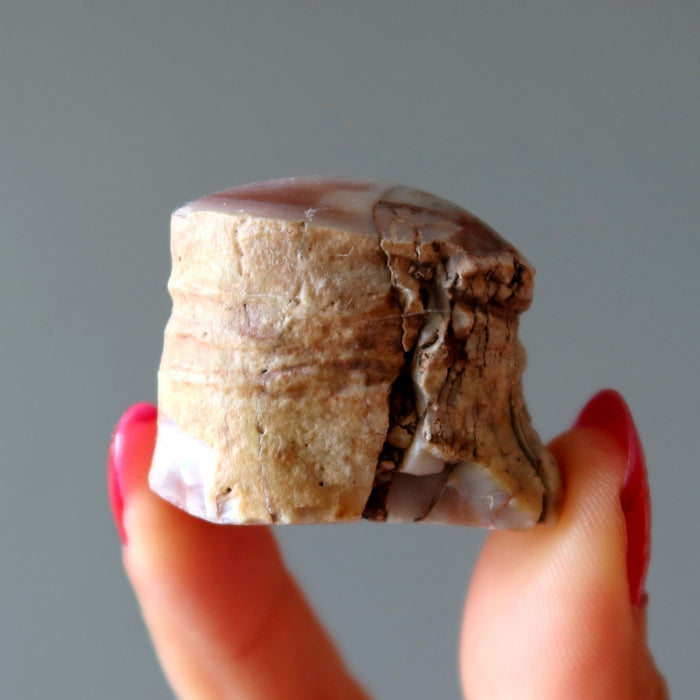 Agatized Petrified Wood Stone Raw Specimen Pink Agate Jasper