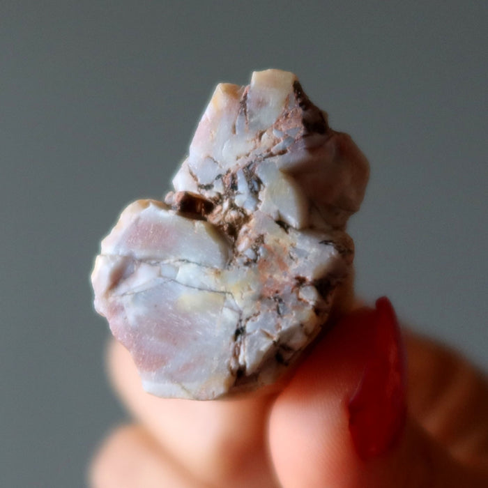 Agatized Petrified Wood Stone Raw Specimen Pink Agate Jasper