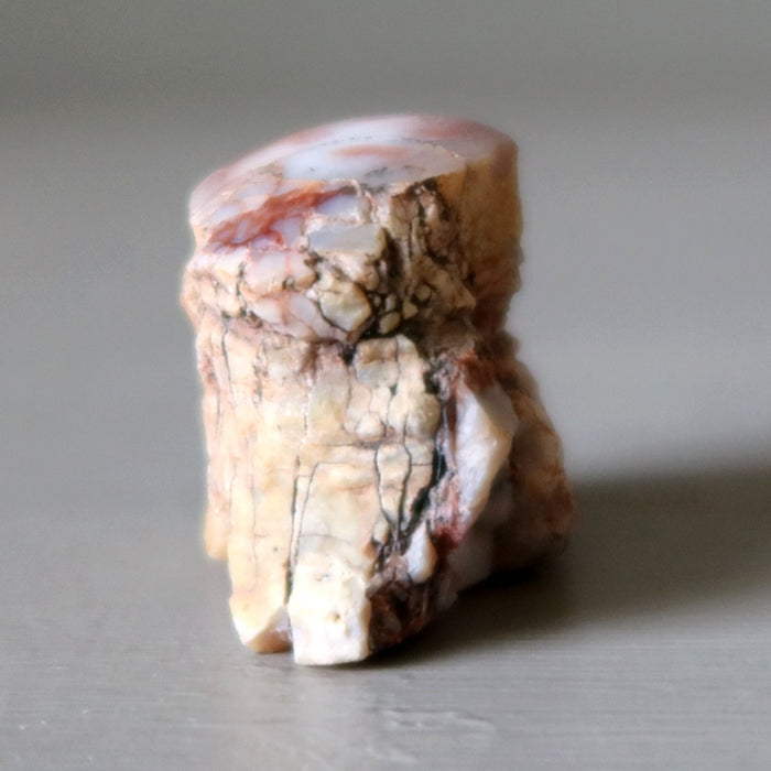 Agatized Petrified Wood Stone Raw Specimen Pink Agate Jasper