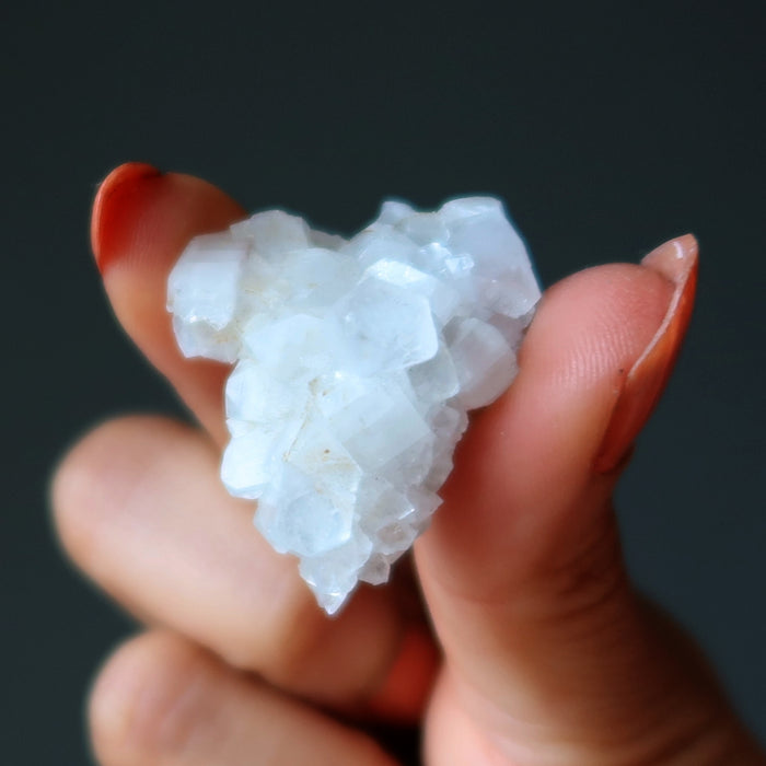 Spiritual Set: Buddha & Crown Chakra Stones on Selenite Charger