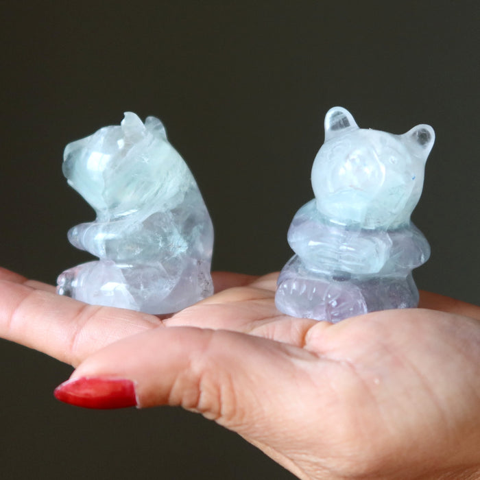 fluorite bears
