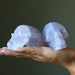 Lavender Fluorite Skulls