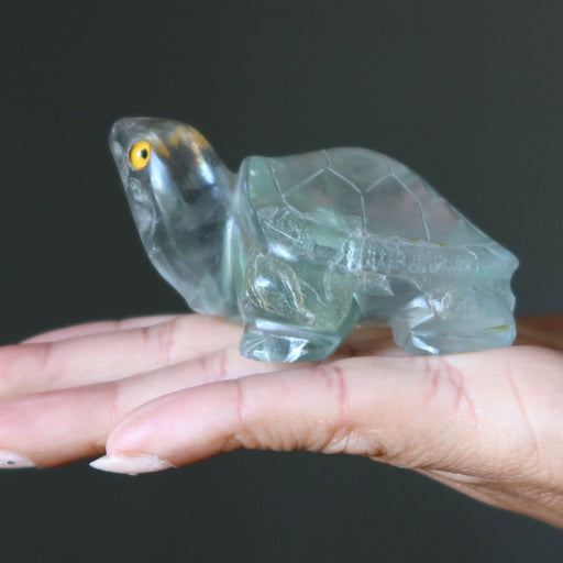 Clear green fluorite turtle figurine held in a hand against a dark background
