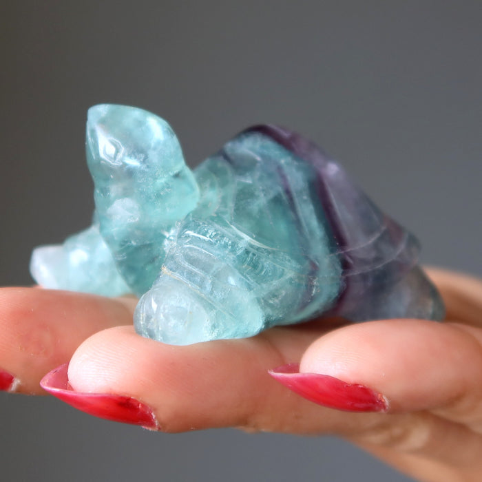 rainbow fluorite turtle figurine