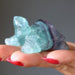 rainbow fluorite turtle figurine