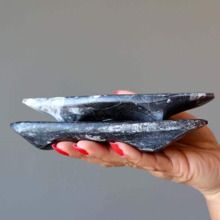 Orthoceras Fossil Charger Dish Ancient Wounded Warrior