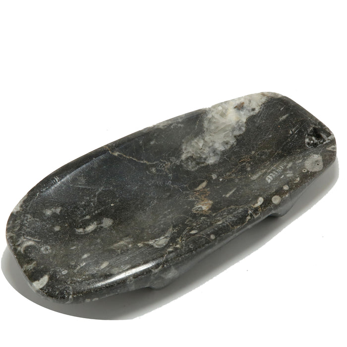 Orthoceras Fossil Charger Dish Ancient Wounded Warrior