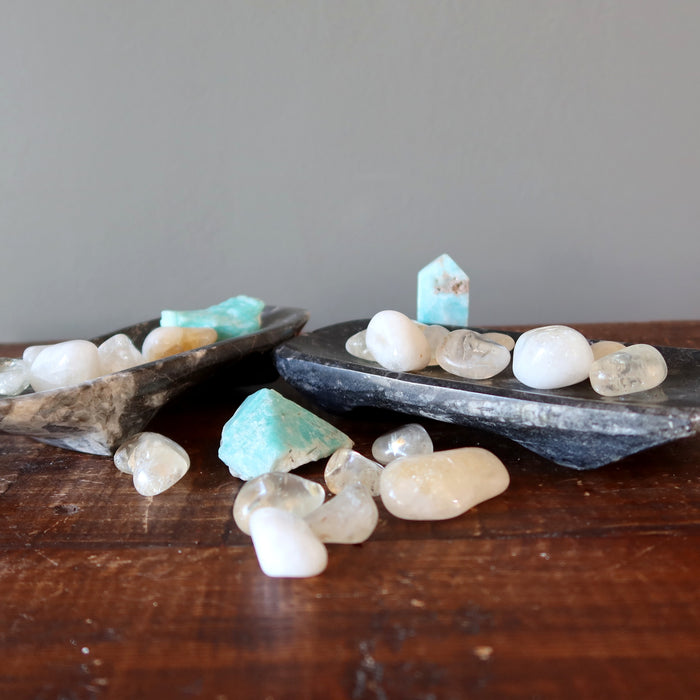 Orthoceras Fossil Charger Dish Ancient Wounded Warrior