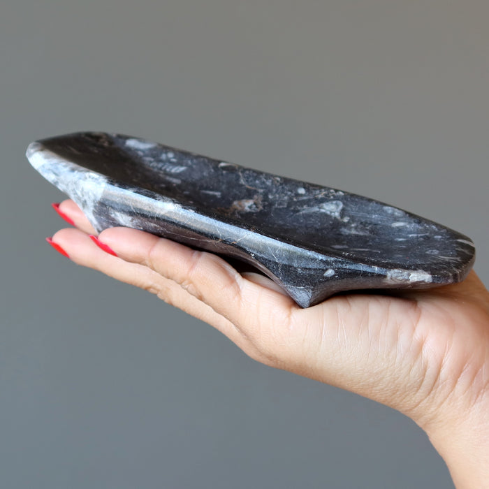 Orthoceras Fossil Charger Dish Ancient Wounded Warrior