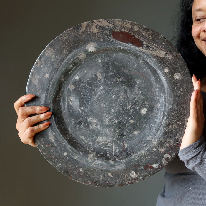 Orthoceras Fossil Charger Plate Ancient Black Stone 13.5 Inch