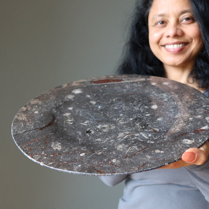 Orthoceras Fossil Charger Plate Ancient Black Stone 13.5 Inch