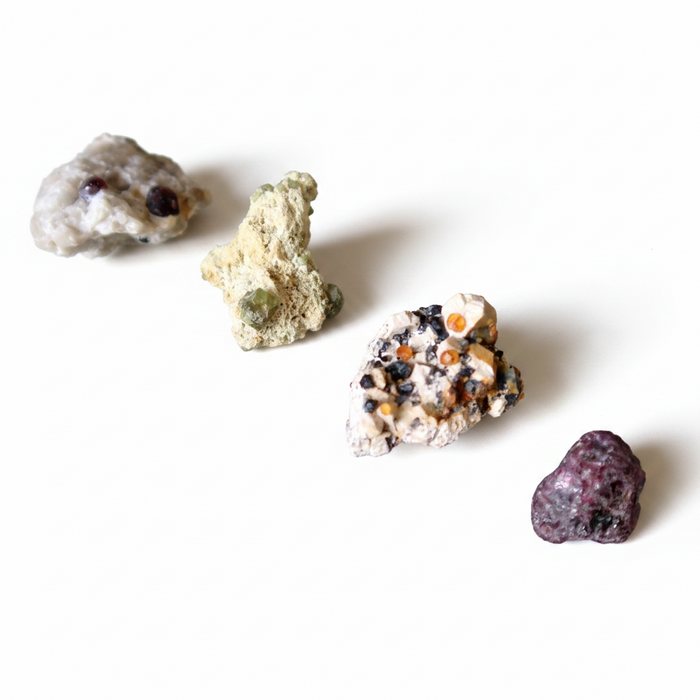Garnet Raw Rare Lot of 4 Pyrope Spessartine Demantoid Rhodolite