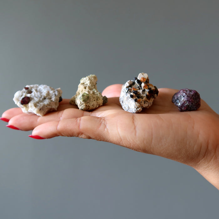 Garnet Raw Rare Lot of 4 Pyrope Spessartine Demantoid Rhodolite