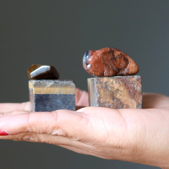 petrified wood and tigers eye stone set