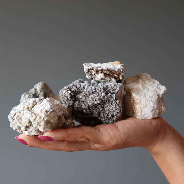 Howlite Raw Crystal Bundle Brainiac Stone White Rock Lot
