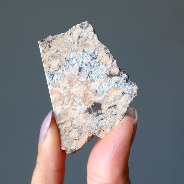 Ilyinets Crater Impactite Slice Meteorite Ukraine