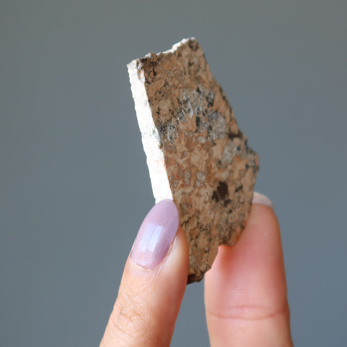 Ilyinets Crater Impactite Slice Meteorite Ukraine