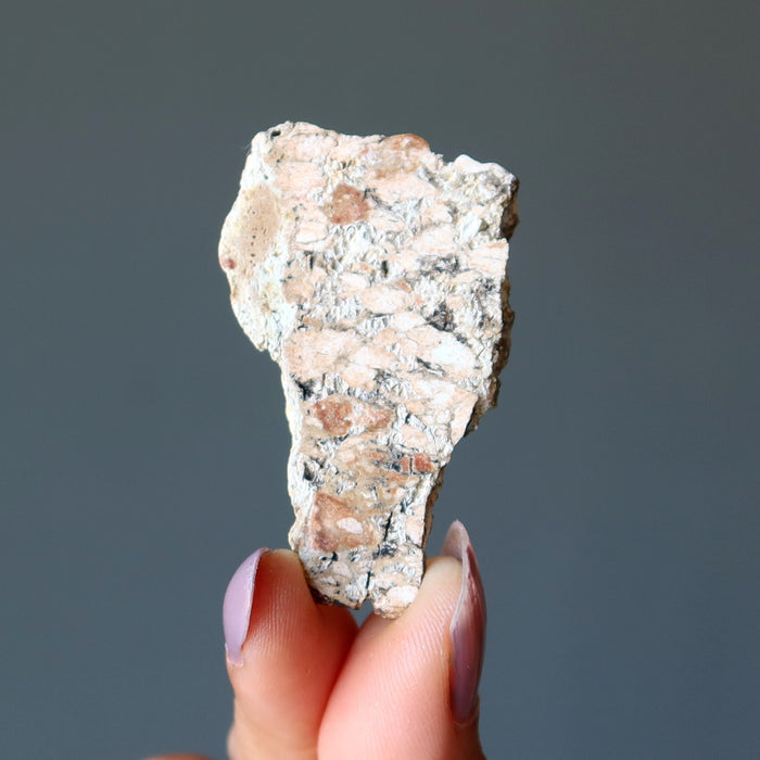 Ilyinets Crater Impactite Slice Meteorite Ukraine