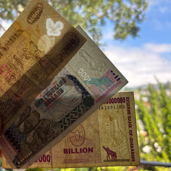 Vintage Banknote Lot of 3 Zambia Zimbabwe Giraffe Elephant African UV Watermark