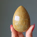 brown jasper egg