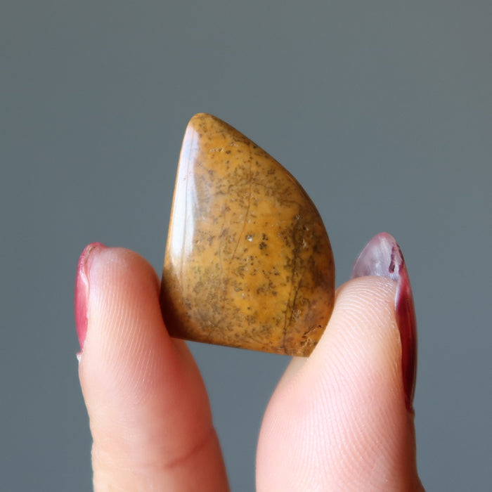Jasper Grid Crystal Set of 34 Cabochon Yellow Brown Stones