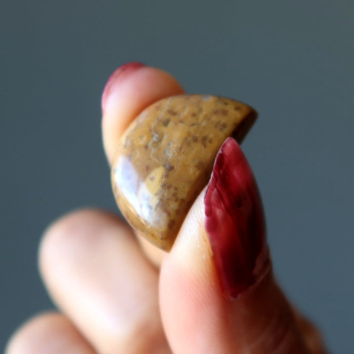 Jasper Grid Crystal Set of 34 Cabochon Yellow Brown Stones