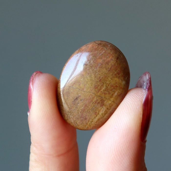Yellow Jasper Grid Crystal Set of 3 Nature Mandala Gems