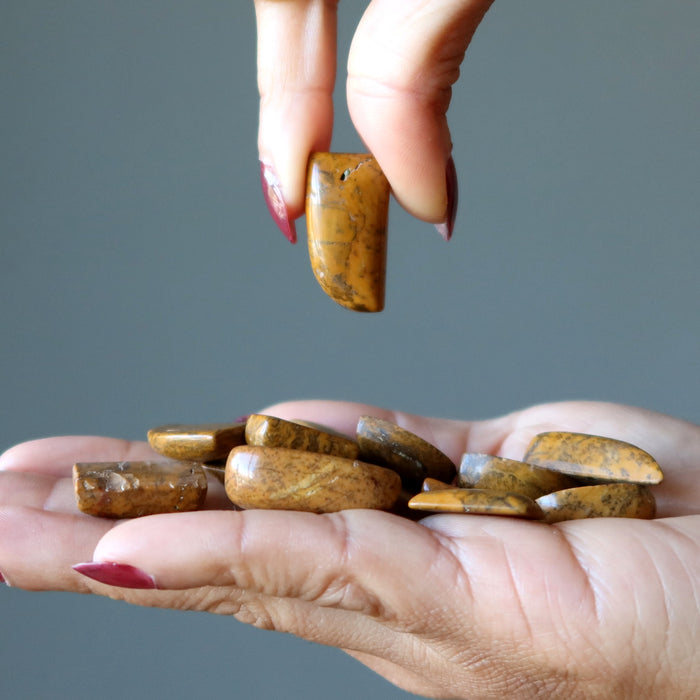 Yellow Jasper Grid Crystal Set of 3 Life Layout Gems