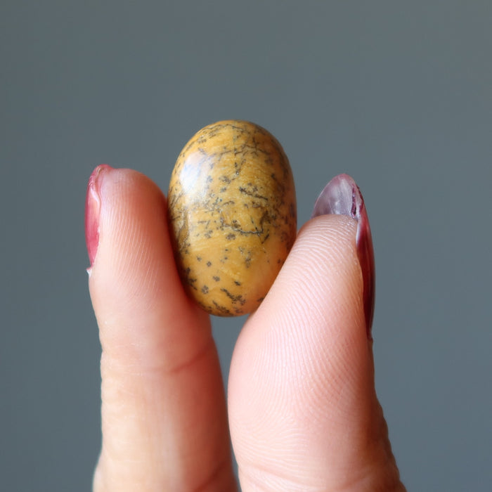 Yellow Jasper Grid Crystal Set of 3 Life Layout Gems