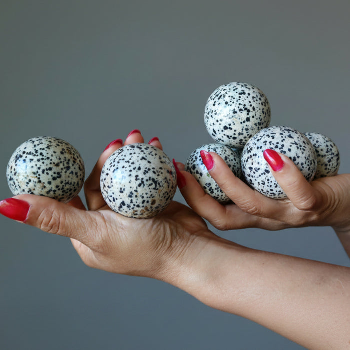 Dalmatian Jasper Sphere Bundle Good Spot Crystal Ball Lot of 7