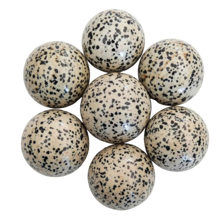 Dalmatian Jasper Sphere Bundle Good Spot Crystal Ball Lot of 7