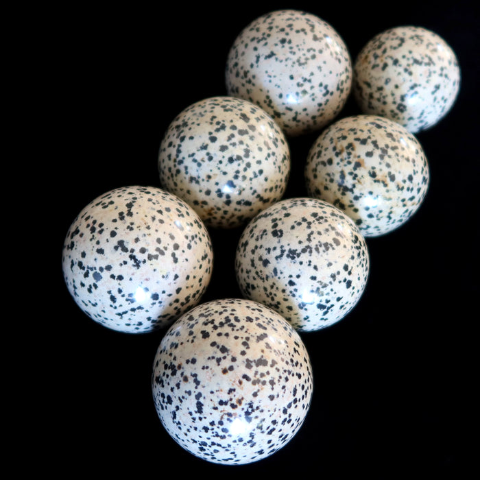 Dalmatian Jasper Sphere Bundle Good Spot Crystal Ball Lot of 7