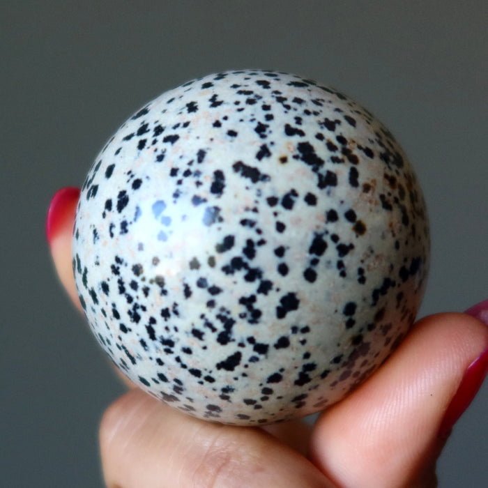 Dalmatian Jasper Sphere Bundle Good Spot Crystal Ball Lot of 7