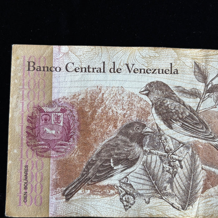Venezuela Banknote Lot 100 Bolivares 2015 2018 Spider Monkey Birds UV Verified
